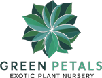 Green Petals Nursery